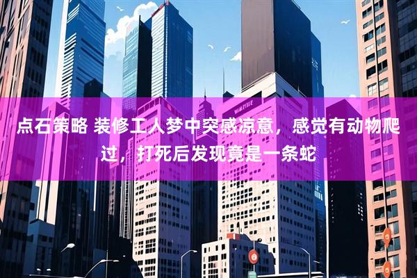 点石策略 装修工人梦中突感凉意,感觉有动物爬过,打死后发现竟是一条蛇