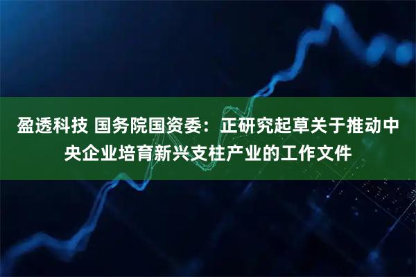 盈透科技 国务院国资委：正研究起草关于推动中央企业培育新兴支柱产业的工作文件