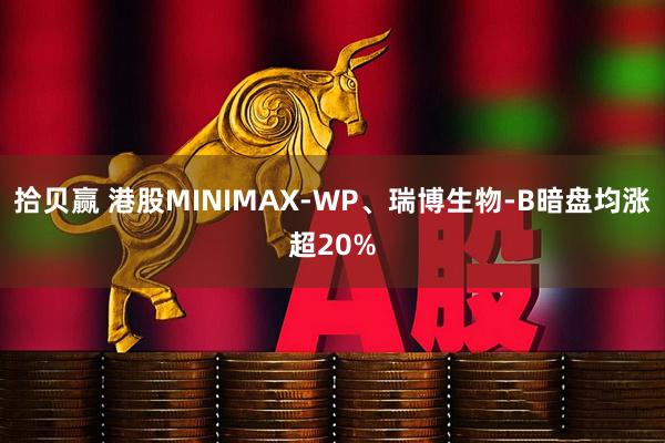 拾贝赢 港股MINIMAX-WP、瑞博生物-B暗盘均涨超20%