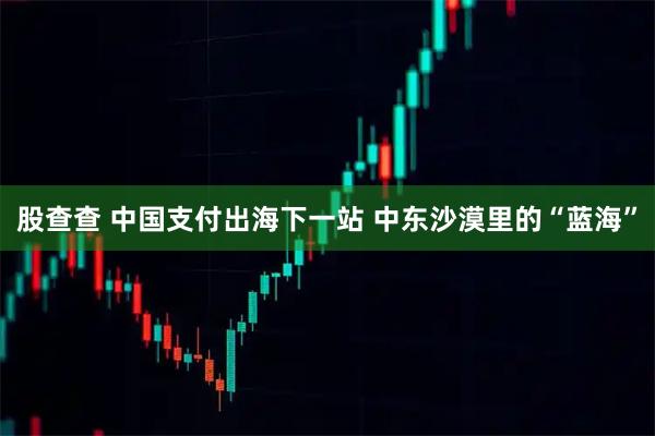 股查查 中国支付出海下一站 中东沙漠里的“蓝海”